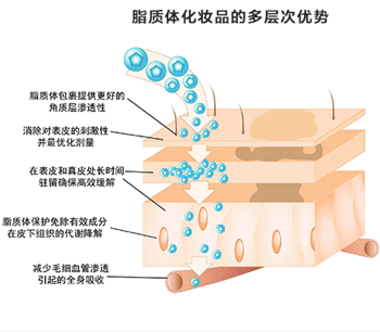 脂质体在化妆品中的应用优势.png