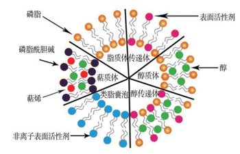 脂质体类型及结构