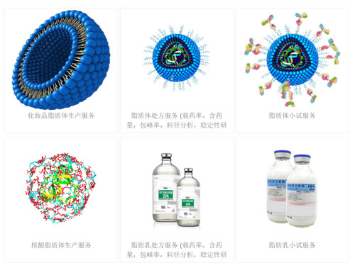 浙江澳门赌场在线娱乐业务简况
