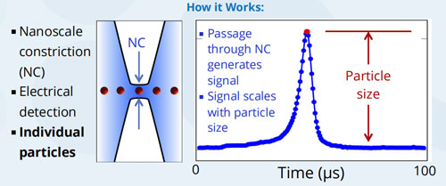 The nCS1TM particle size analyzer工作原理