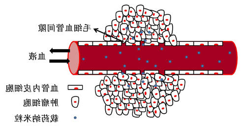 载药纳米粒子被动靶向示意图 澳门赌场在线娱乐